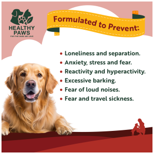 Alternative view of Calming Soft Chews